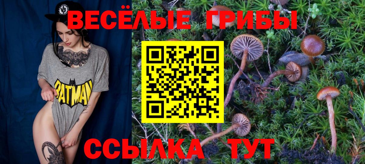 Галлюциногенные грибы GOLDEN TEACHER Балашиха